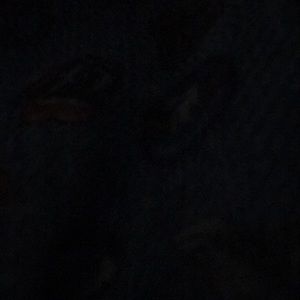 Meet your Posher, Chana